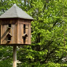 Jak zrobić gołębnik ogrodowy – kluczowe wskazówki i porady budowlane