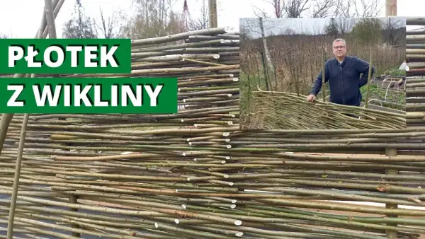 Jak zrobić ozdoby z wikliny do ogrodu – praktyczne projekty krok po kroku